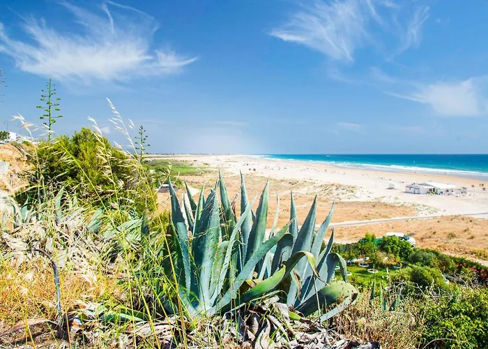 アパート In Conil De La Frontera *